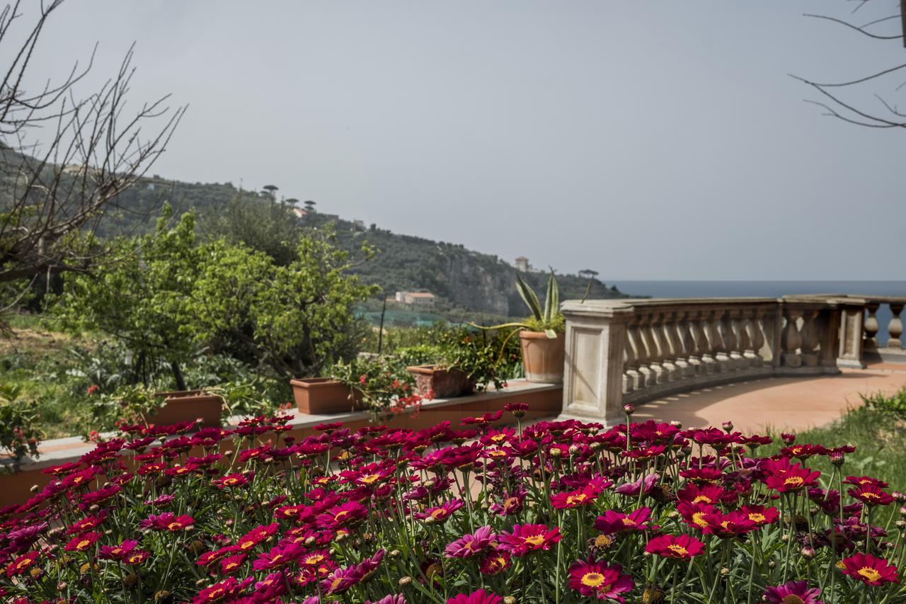 Faraglioni Di Sorrento Guesthouse エクステリア 写真